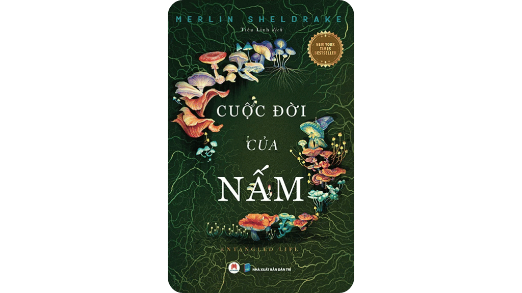 Cuộc Đời Của Nấm