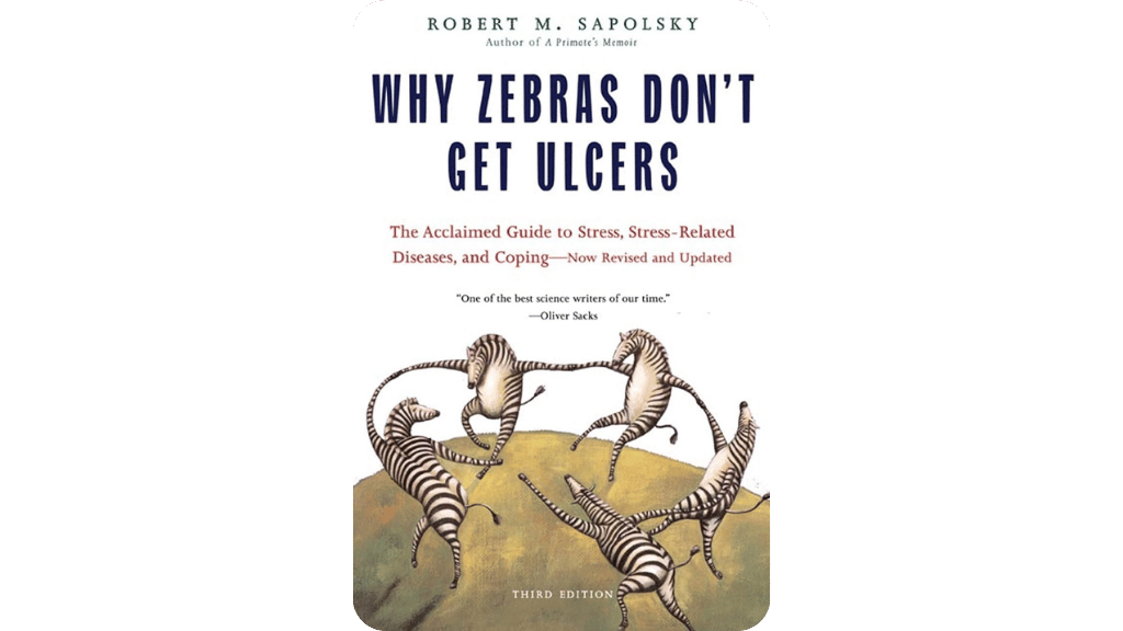 Sống An Nhiên Như Những Chú Ngựa Vằn